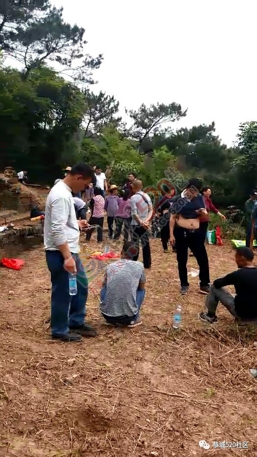 栗木镇大石洲村蔡姓代表到广东省云浮市郁南县东坝镇下围村祭扫172 / 作者:茶江人 / 帖子ID:206755