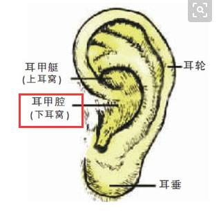 这个地方拉的越多, 肾就越好！男女都要拉129 / 作者:疾控客服 / 帖子ID:206776