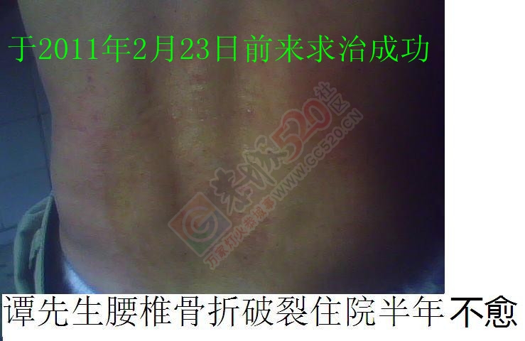 圆 您 中 医 大 夫 梦908 / 作者:时珍后人 / 帖子ID:206779