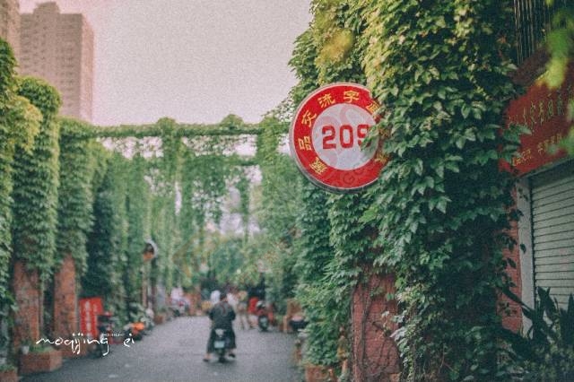 愿有幸留在南宁：本来是天堂，何必去远方！832 / 作者:一路坚持 / 帖子ID:206835