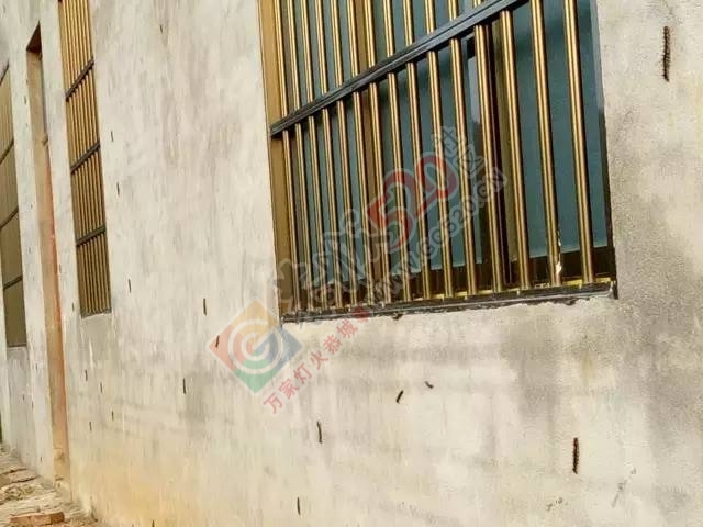 可怕！加会鸭塘村松毛虫爆发，及屋檐、房门、窗户到处都是松毛虫！586 / 作者:单身狗的生活 / 帖子ID:206903