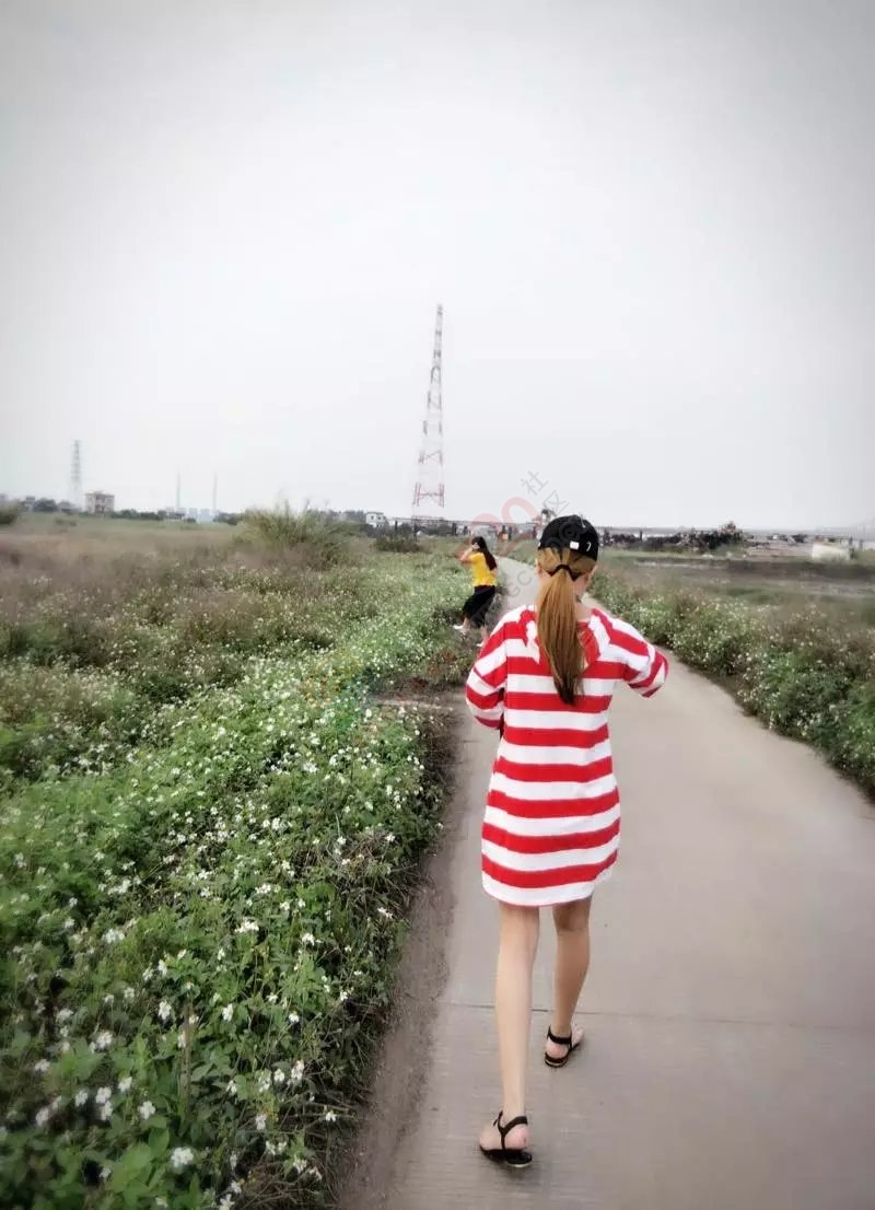 你若知我不懂挽留，能否千难万难也别走365 / 作者:在广州的恭城人 / 帖子ID:206953