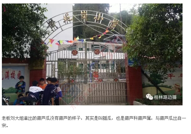 调查追问  桂林路边摄 ！788 / 作者:罗少爷 / 帖子ID:207202