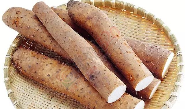 多吃八种清肠食物，助你恢复胃动力！899 / 作者:疾控客服 / 帖子ID:207264