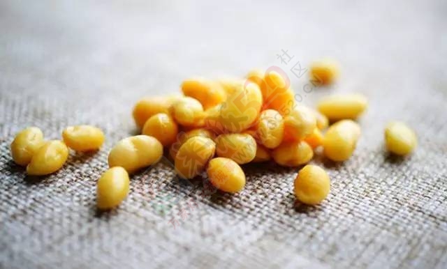 早起喝豆浆要慎重，盘点豆浆的营养价值和食用禁忌！722 / 作者:疾控客服 / 帖子ID:207307