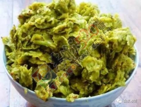 健康┃春季野菜香，咋吃才健康？291 / 作者:健康小天使 / 帖子ID:207400