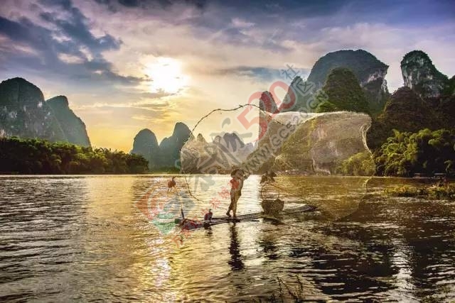 来桂林，你一定要去看的，千万别错过！290 / 作者:离人泪 / 帖子ID:207488
