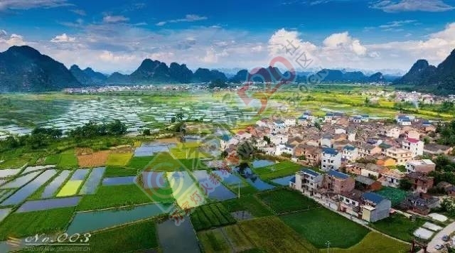来桂林，你一定要去看的，千万别错过！816 / 作者:离人泪 / 帖子ID:207488
