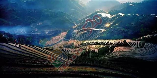 来桂林，你一定要去看的，千万别错过！739 / 作者:离人泪 / 帖子ID:207488