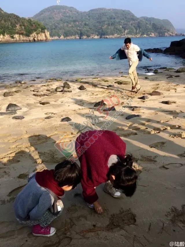 陆毅：爱情就是我老婆的样子！0 / 作者:桂花糕 / 帖子ID:207491