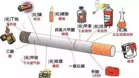 健康之路 | 人类可怕的敌人，我们也可以有效的阻拦116 / 作者:健康小天使 / 帖子ID:207505
