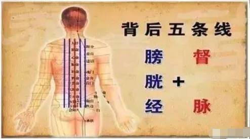 每天三分钟，打通督脉膀胱经、白发变黑、远离中风480 / 作者:疾控客服 / 帖子ID:207513