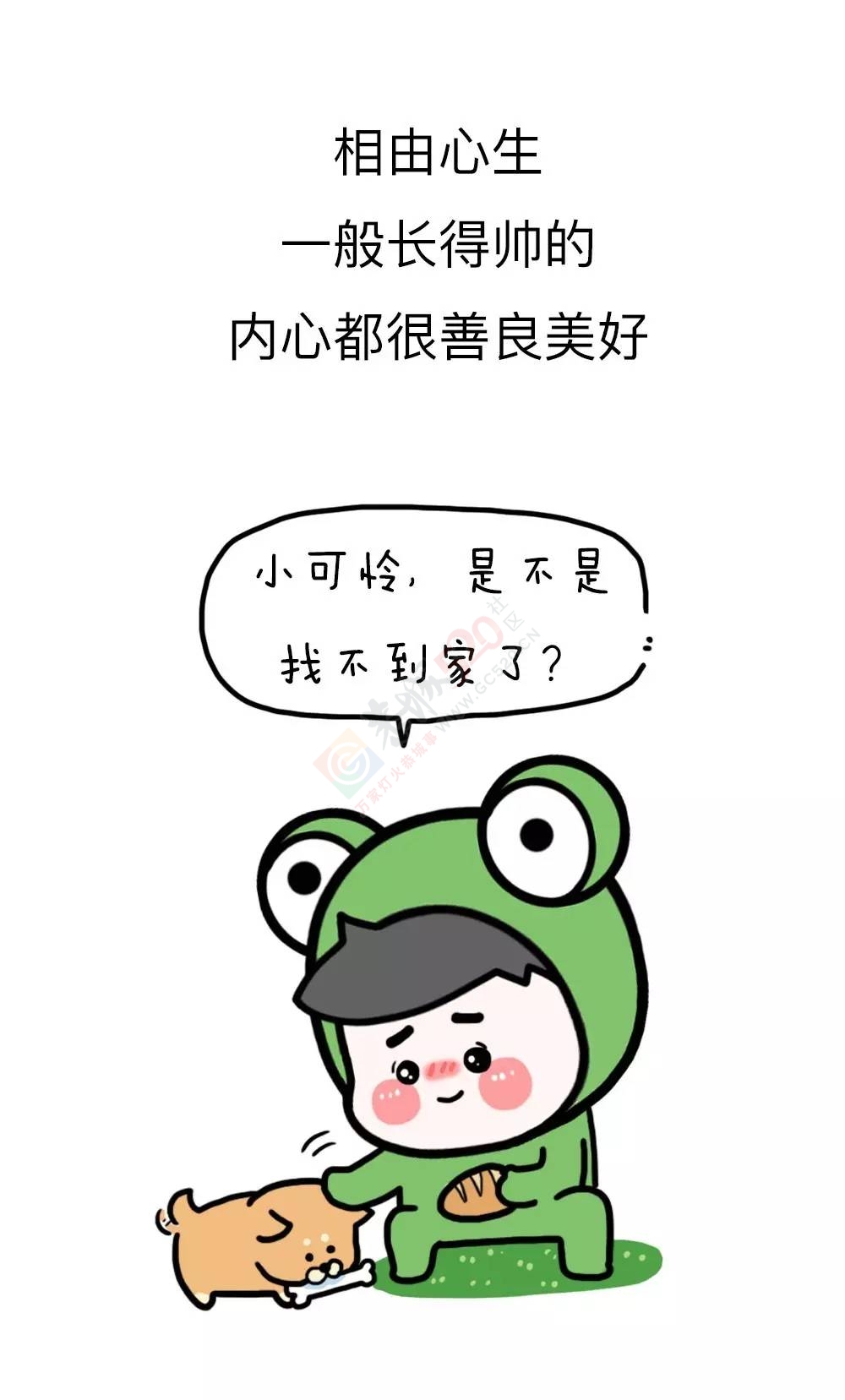 男朋友为什么一定要找帅的？最后一条扎心了743 / 作者:Iris-- / 帖子ID:207934