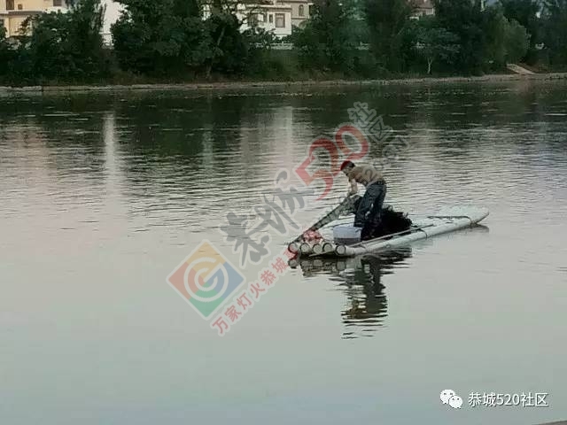 这个后生仔大清早就在滨江苑码头段水域用地笼捕鱼，恭城非法捕鱼为何屡禁不止！44 / 作者:茶江余晖 / 帖子ID:218316