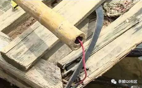 这个后生仔大清早就在滨江苑码头段水域用地笼捕鱼，恭城非法捕鱼为何屡禁不止！775 / 作者:茶江余晖 / 帖子ID:218316