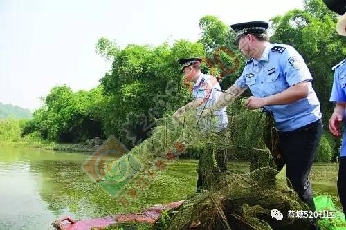 这个后生仔大清早就在滨江苑码头段水域用地笼捕鱼，恭城非法捕鱼为何屡禁不止！742 / 作者:茶江余晖 / 帖子ID:218316