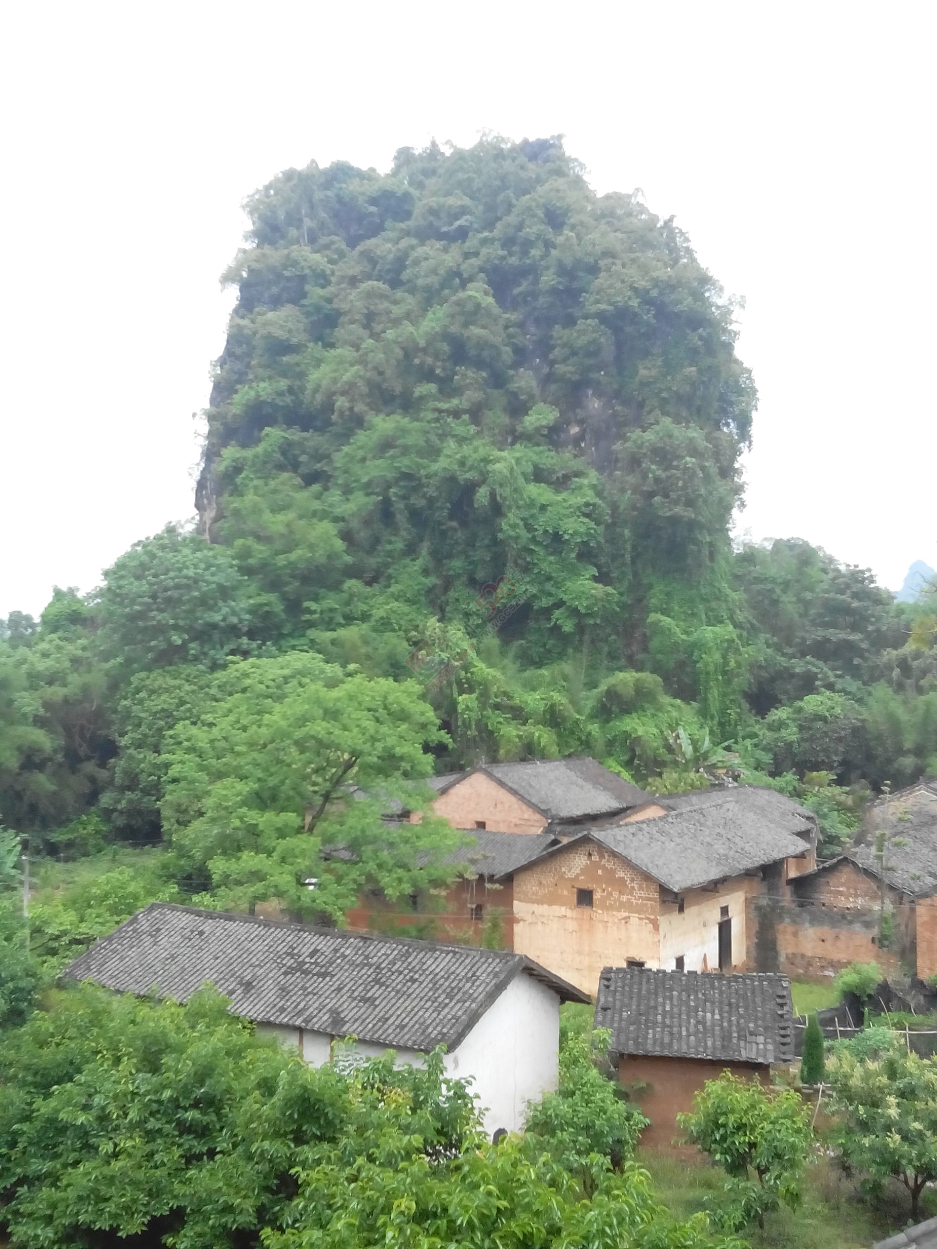 小山村 吃酒酒 ！34 / 作者:罗少爷 / 帖子ID:220695
