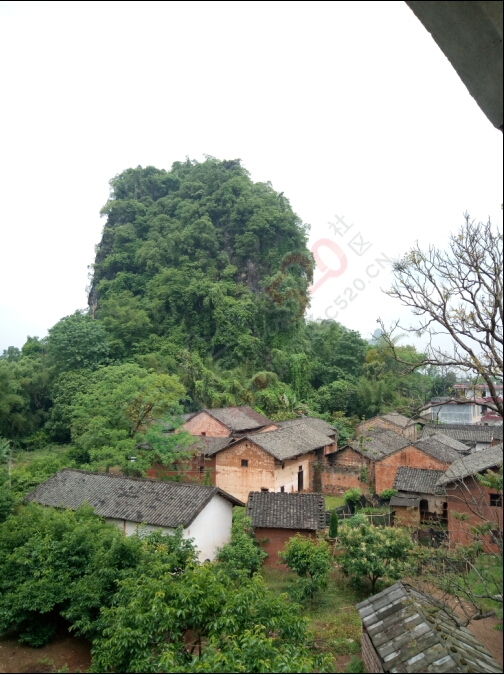 小山村 吃酒酒 ！558 / 作者:罗少爷 / 帖子ID:220695