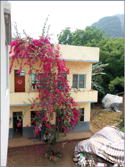 小山村 吃酒酒 ！437 / 作者:罗少爷 / 帖子ID:220695