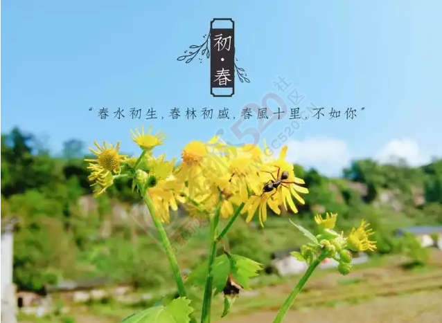你的手机是否也有舍不得删的照片669 / 作者:绎苒 / 帖子ID:220839