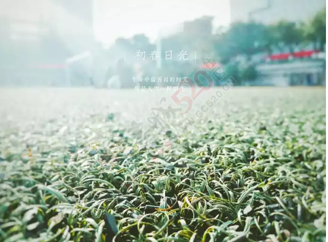 你的手机是否也有舍不得删的照片612 / 作者:绎苒 / 帖子ID:220839