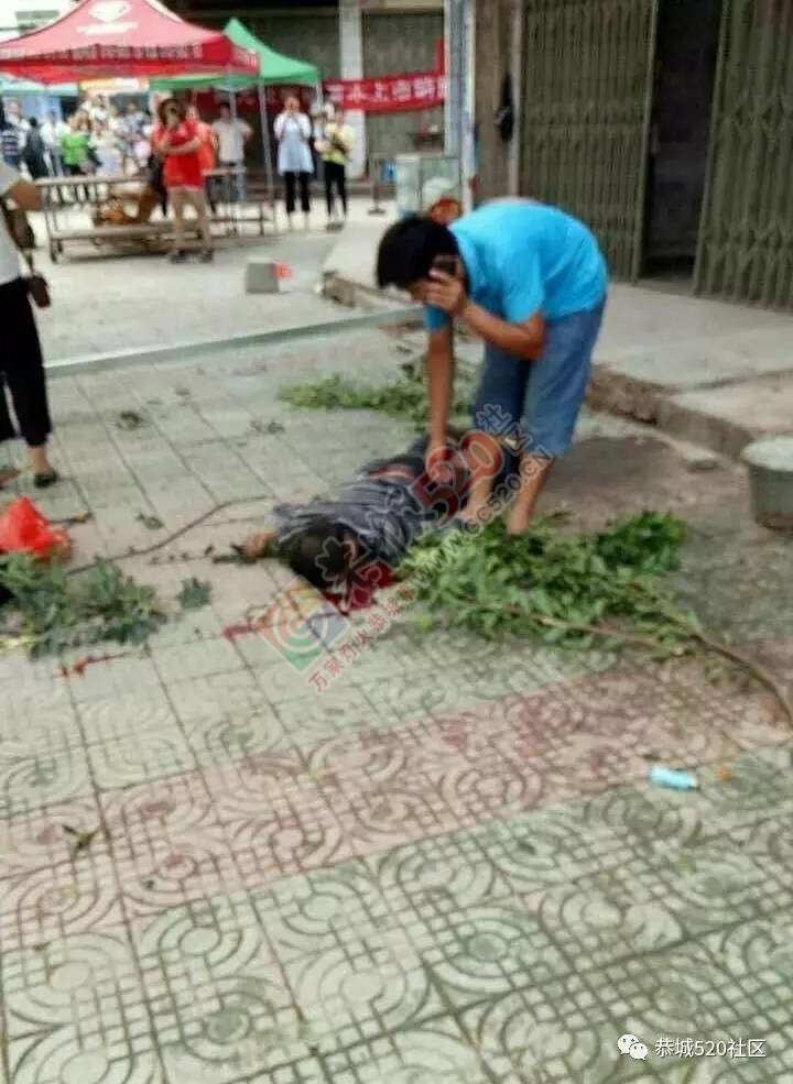 【突发】恭城西岭街一人在搭铁棚时不慎坠楼当场身亡296 / 作者:豌豆公主 / 帖子ID:222982