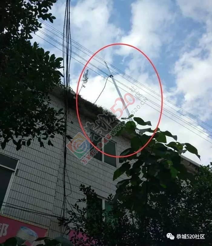 【突发】恭城西岭街一人在搭铁棚时不慎坠楼当场身亡205 / 作者:豌豆公主 / 帖子ID:222982