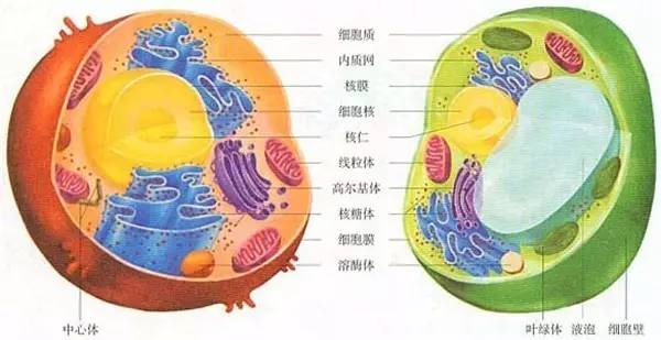 没想到恭城人曾经这么牛掰……厉害了！502 / 作者:该做的事情 / 帖子ID:224647
