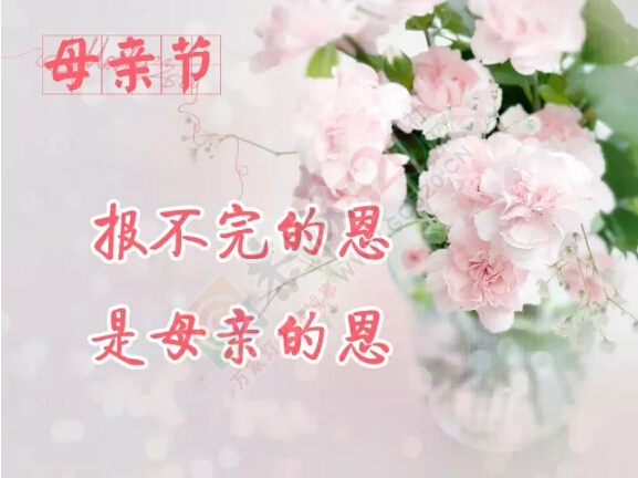 祝福 天下的母亲 节日快乐！637 / 作者:罗少爷 / 帖子ID:224943