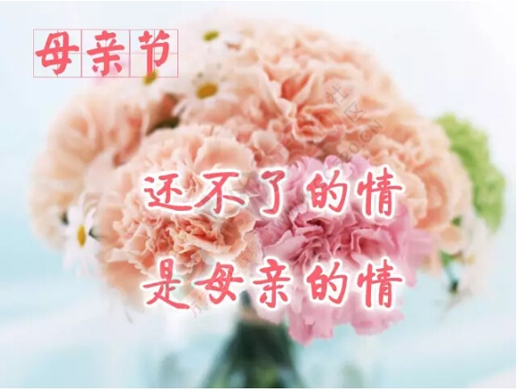 祝福 天下的母亲 节日快乐！743 / 作者:罗少爷 / 帖子ID:224943
