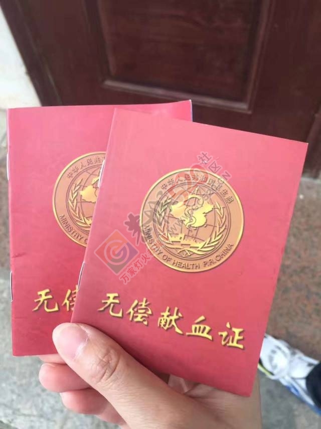 以青春的名义，奉献热血508 / 作者:豌豆公主 / 帖子ID:227407