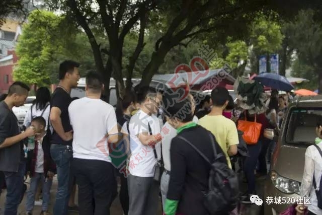 相聚●凤岩|记恭城520网友莲花凤岩.欢乐行活动圆满成功！862 / 作者:admin2 / 帖子ID:227689