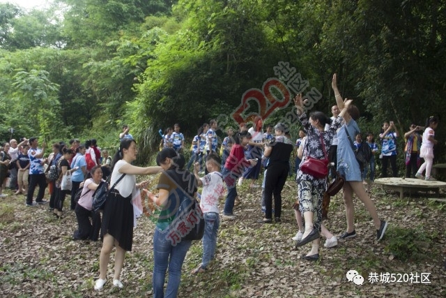 相聚●凤岩|记恭城520网友莲花凤岩.欢乐行活动圆满成功！732 / 作者:admin2 / 帖子ID:227689