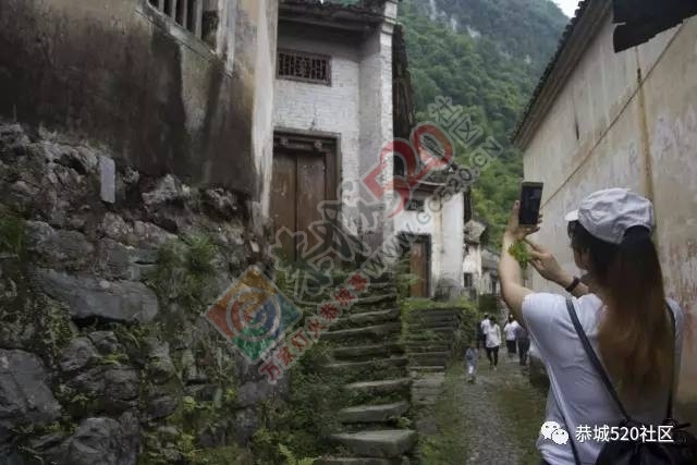 相聚●凤岩|记恭城520网友莲花凤岩.欢乐行活动圆满成功！36 / 作者:admin2 / 帖子ID:227689