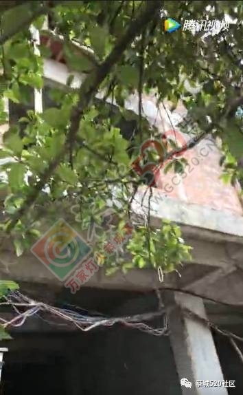 嘉会老街新建楼房吊机连人从三楼跌下，同天桂林乌石街农民工5楼坠地身亡637 / 作者:豌豆公主 / 帖子ID:227688