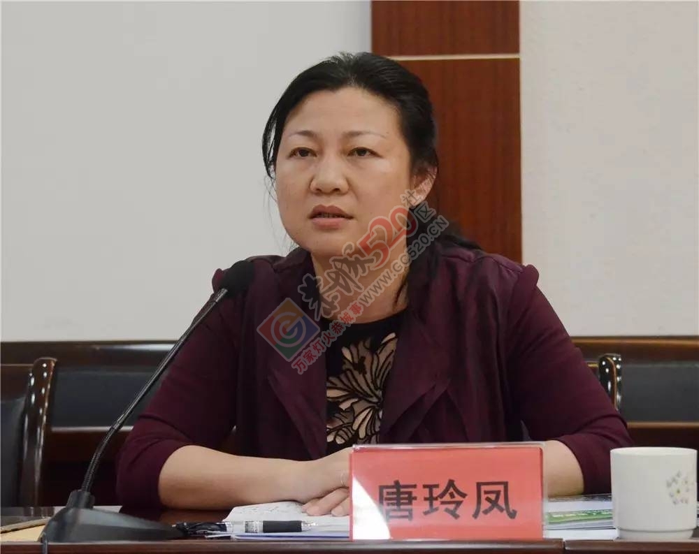 自治县建设“幸福恭城 无癌恭城”研讨会举行107 / 作者:红花绿叶 / 帖子ID:229251