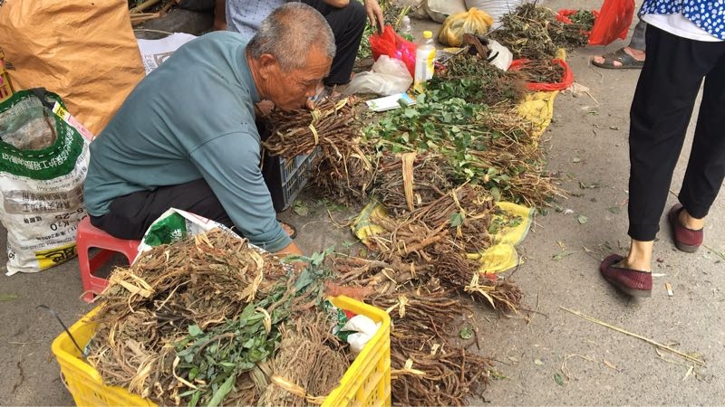 今天端午好热闹10 / 作者:黑白年代 / 帖子ID:232093