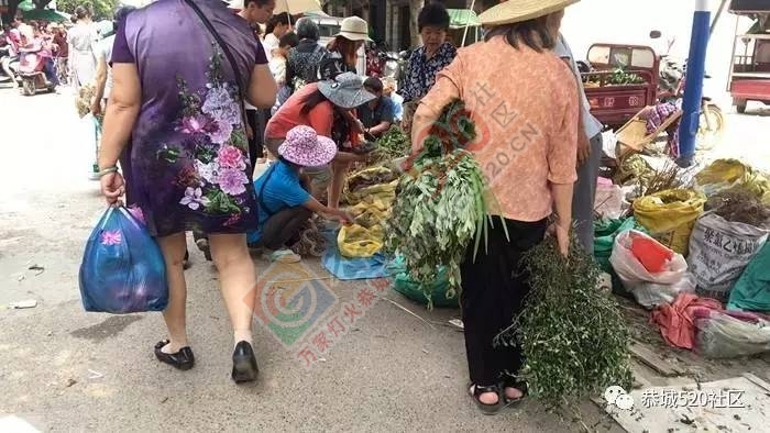 恭城端午药市热闹非凡，瑶医文化传承令人堪忧452 / 作者:啤酒加烤串儿 / 帖子ID:232102