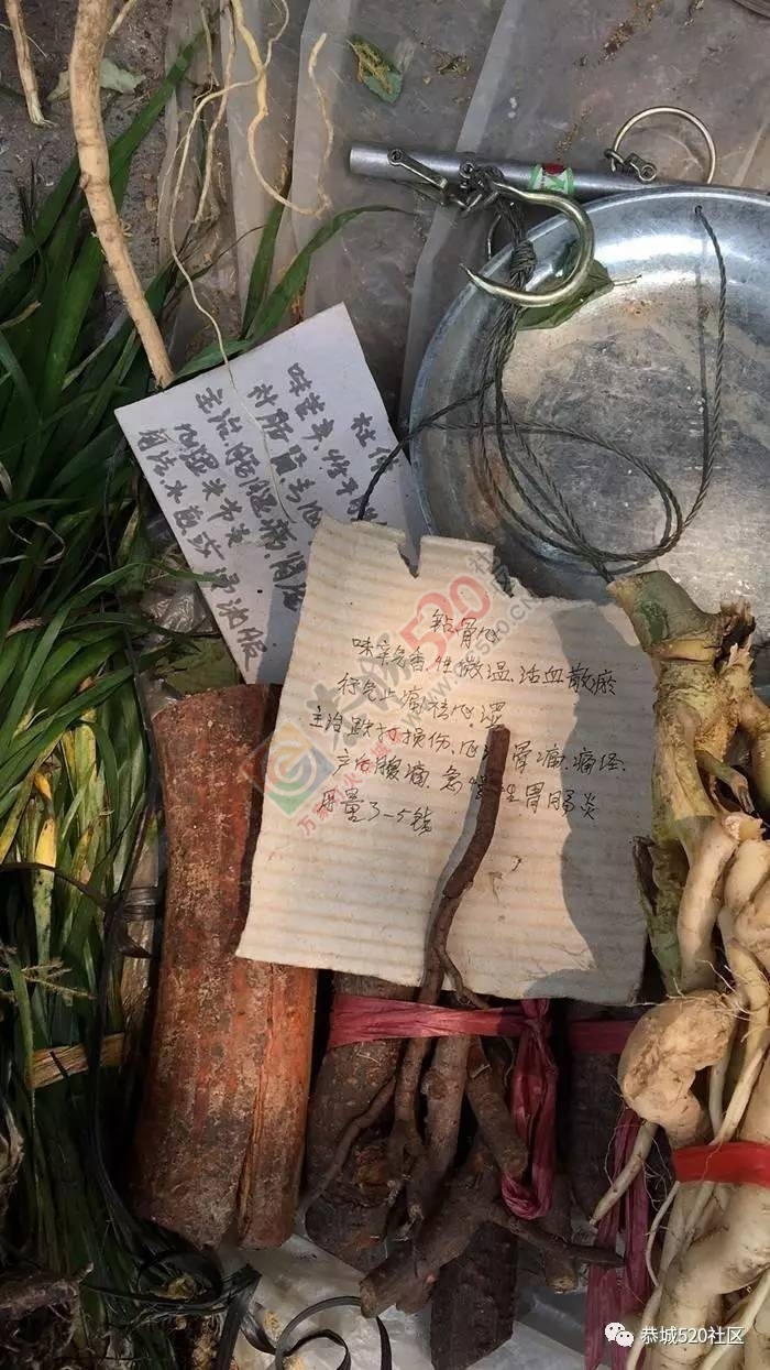 恭城端午药市热闹非凡，瑶医文化传承令人堪忧879 / 作者:啤酒加烤串儿 / 帖子ID:232102