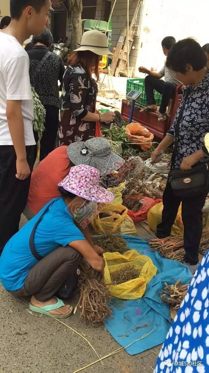 恭城端午药市热闹非凡，瑶医文化传承令人堪忧270 / 作者:啤酒加烤串儿 / 帖子ID:232102