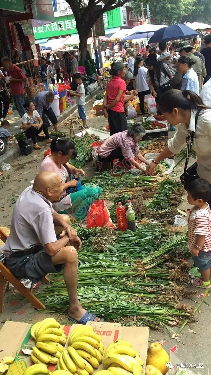 恭城端午药市热闹非凡，瑶医文化传承令人堪忧566 / 作者:啤酒加烤串儿 / 帖子ID:232102