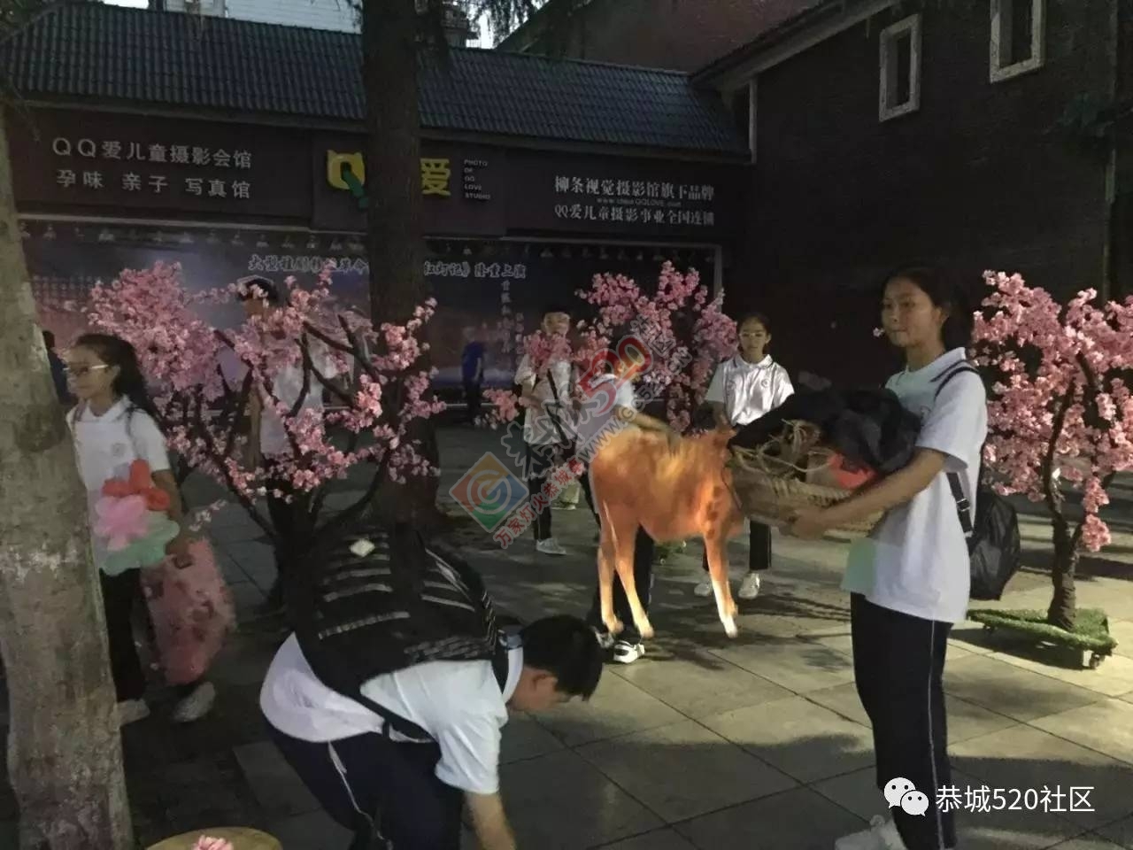 厉害啦，这群恭城娃！民族实验初中喜获桂林市课本剧比赛初中组第一名136 / 作者:豌豆公主 / 帖子ID:232104