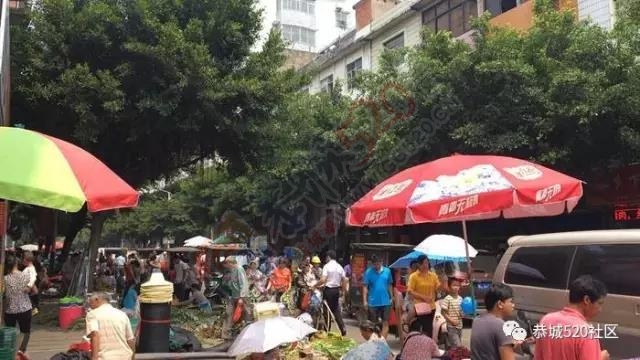 恭城端午药市热闹非凡，瑶医文化传承令人堪忧555 / 作者:绎苒 / 帖子ID:232109