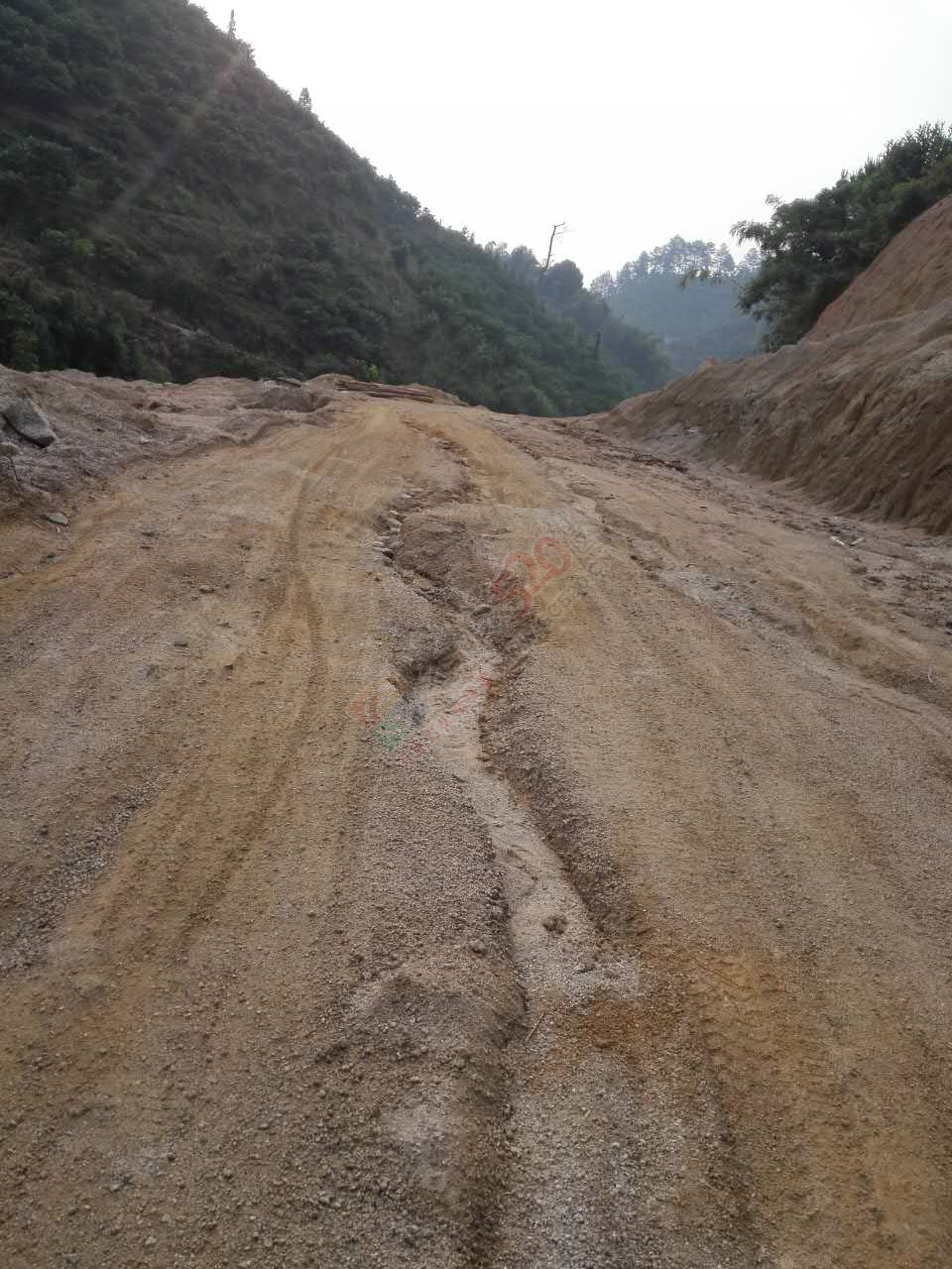 黄泥岗村吃水冲的路，希望政府能关注下！605 / 作者:卵仔仔 / 帖子ID:232120
