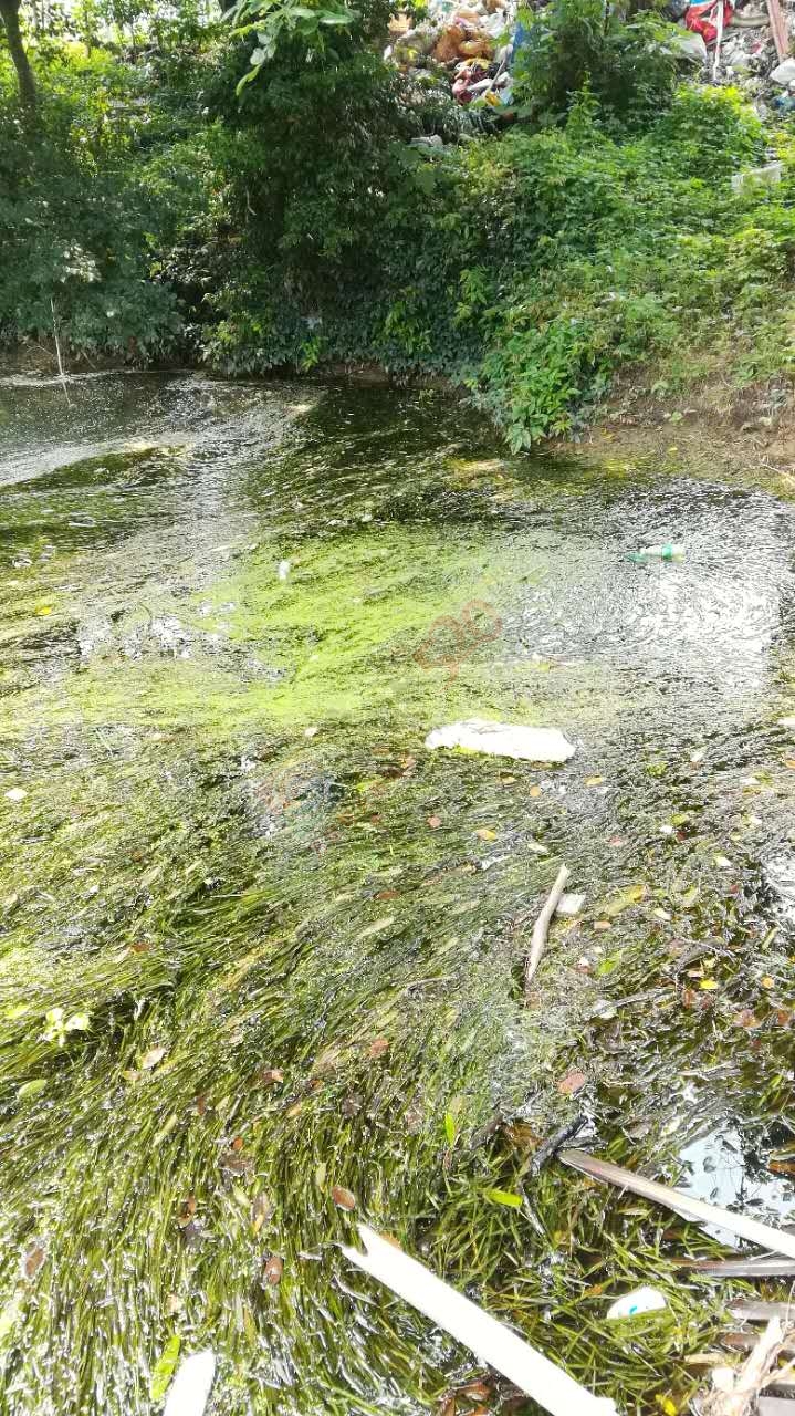 茶江上游凤凰山脚铁路下垃圾堆成山147 / 作者:茶江人 / 帖子ID:232122