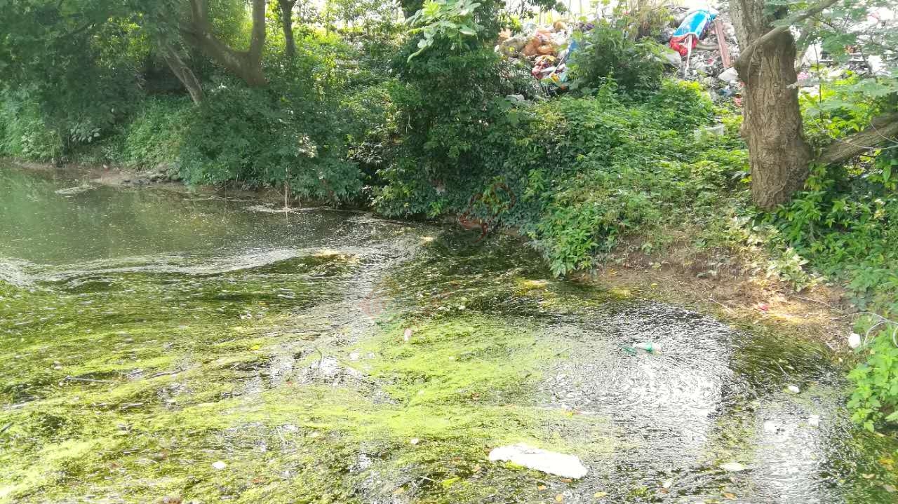 茶江上游凤凰山脚铁路下垃圾堆成山689 / 作者:茶江人 / 帖子ID:232122