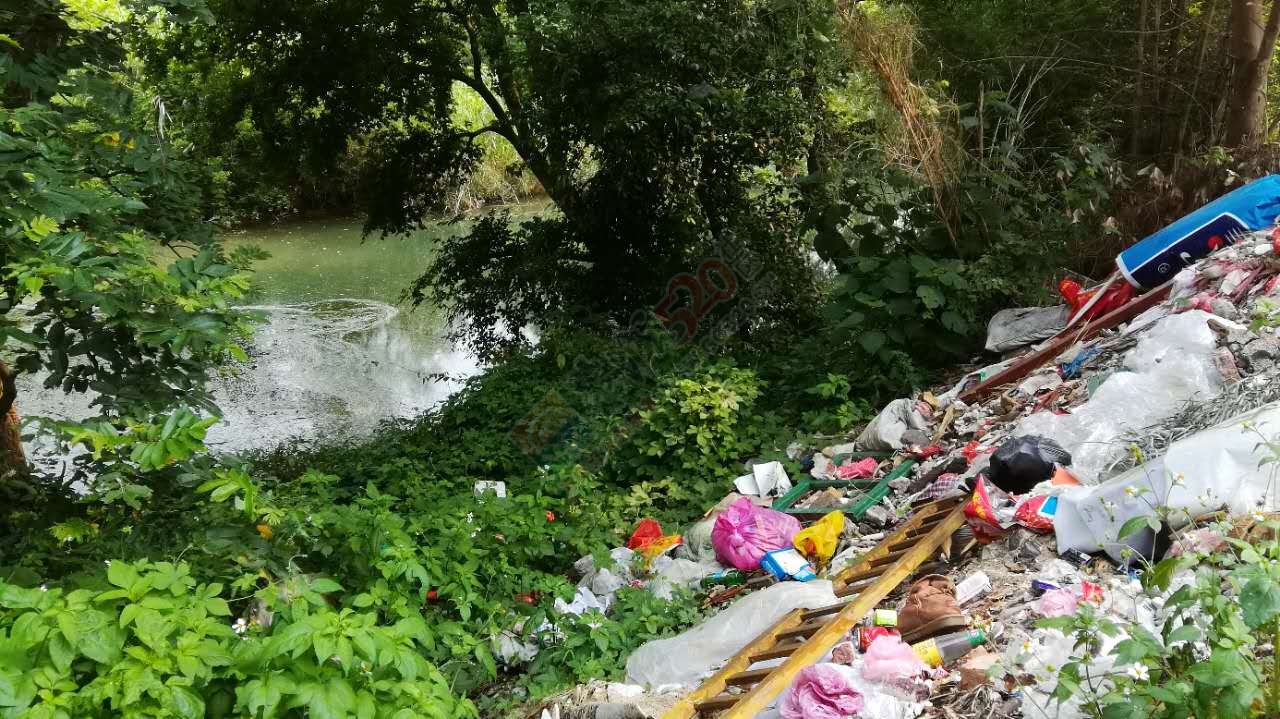 茶江上游凤凰山脚铁路下垃圾堆成山130 / 作者:茶江人 / 帖子ID:232122