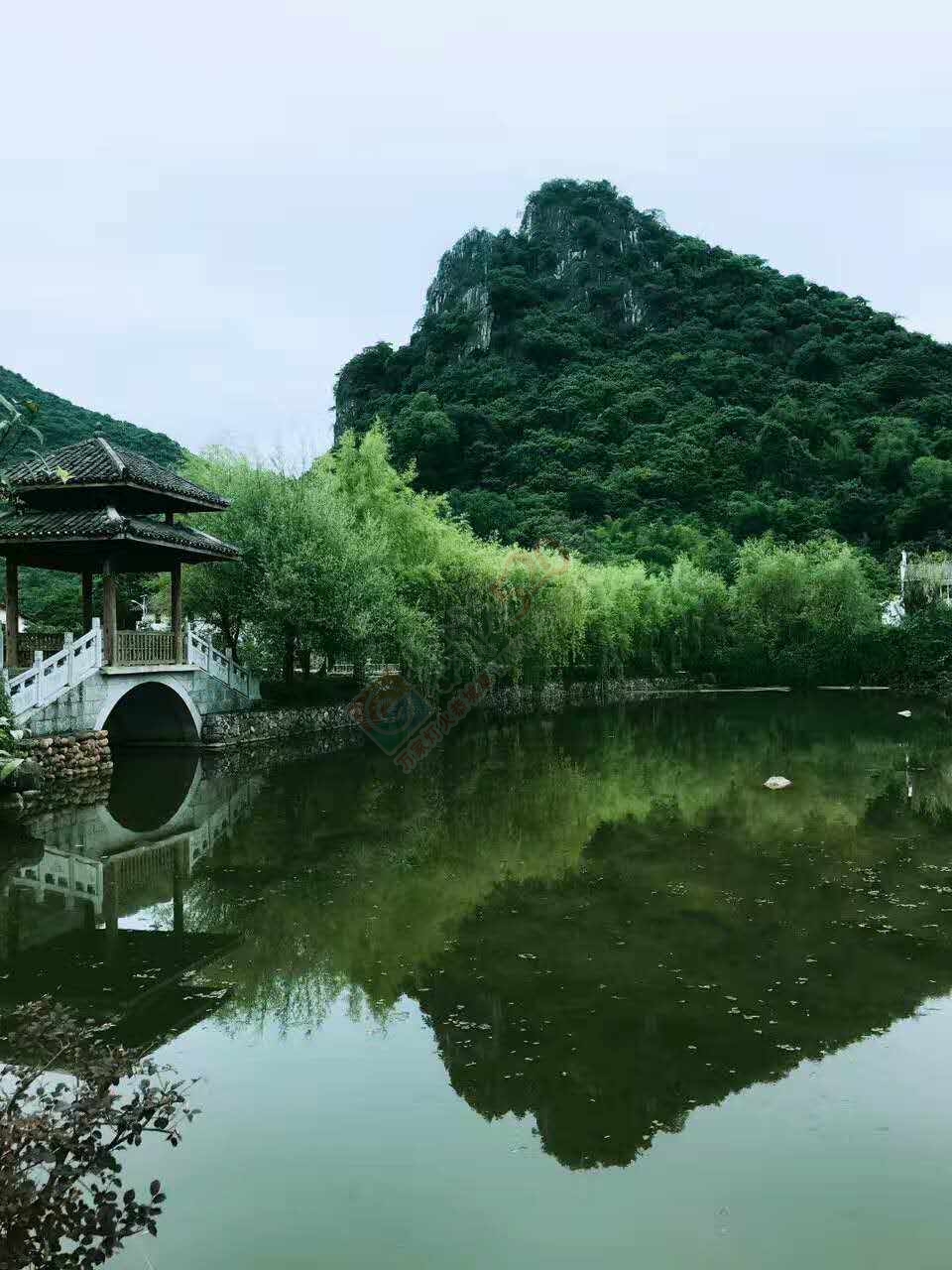 邓扒看荷花克啦443 / 作者:莲花的烂崽 / 帖子ID:232182