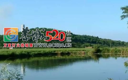 厉害了！恭城镇被中央点名了！958 / 作者:花花菌 / 帖子ID:232222