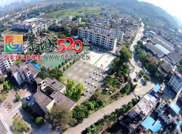 厉害了！恭城镇被中央点名了！232 / 作者:花花菌 / 帖子ID:232222